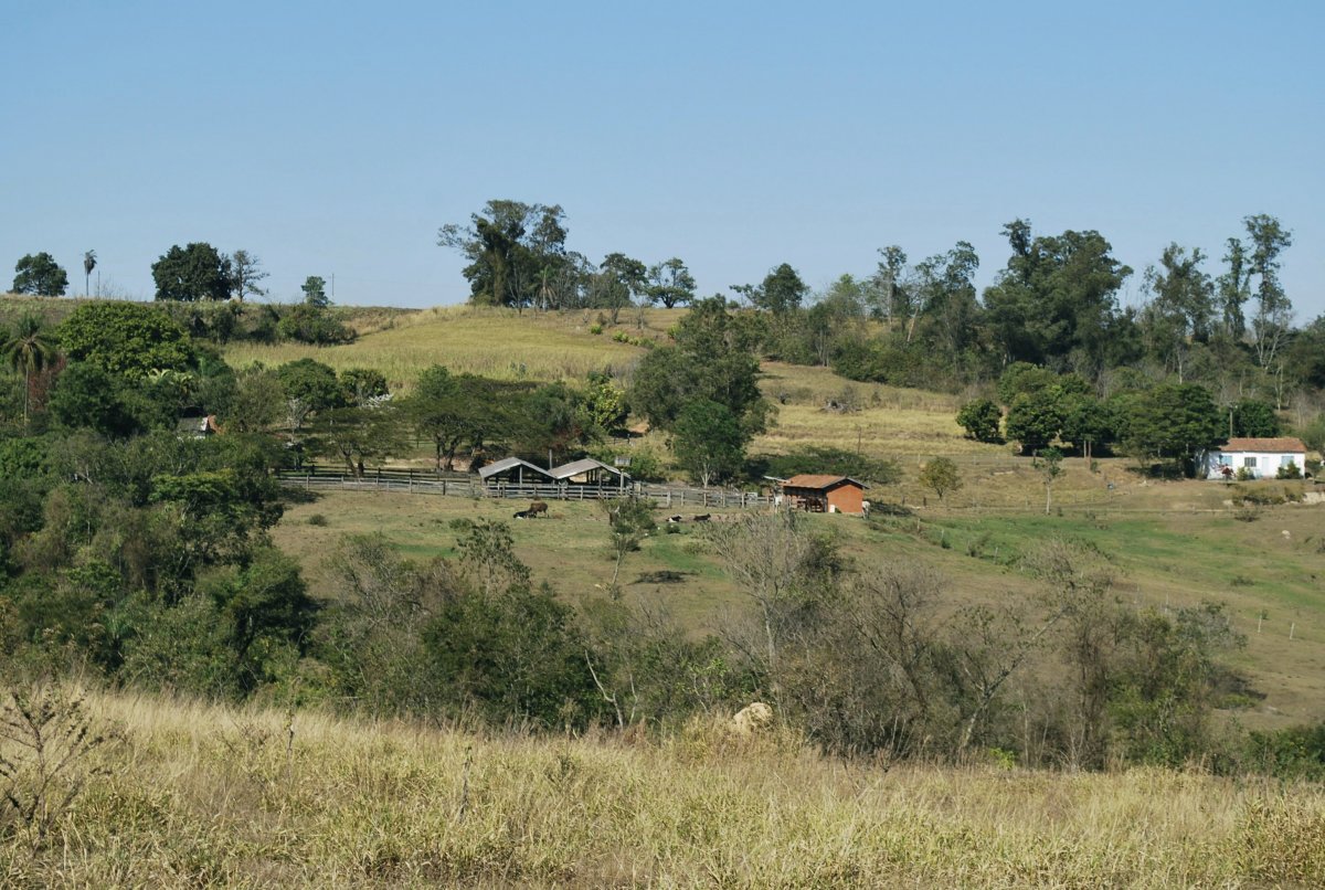 A fazenda e algumas benfeitorias.